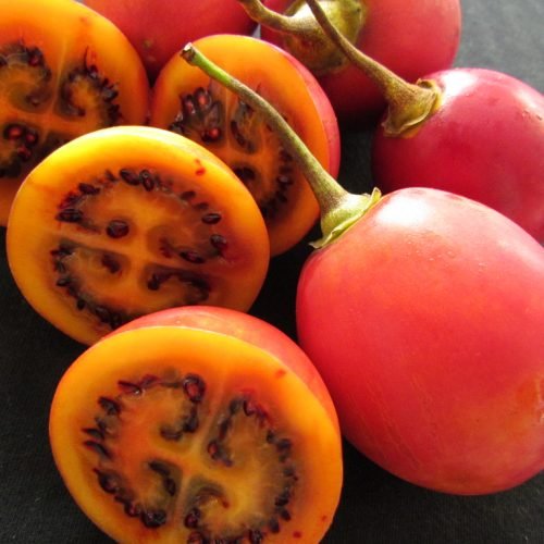 Tomate de arbol en pereira