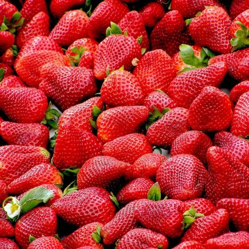 strawberries-99551_1920